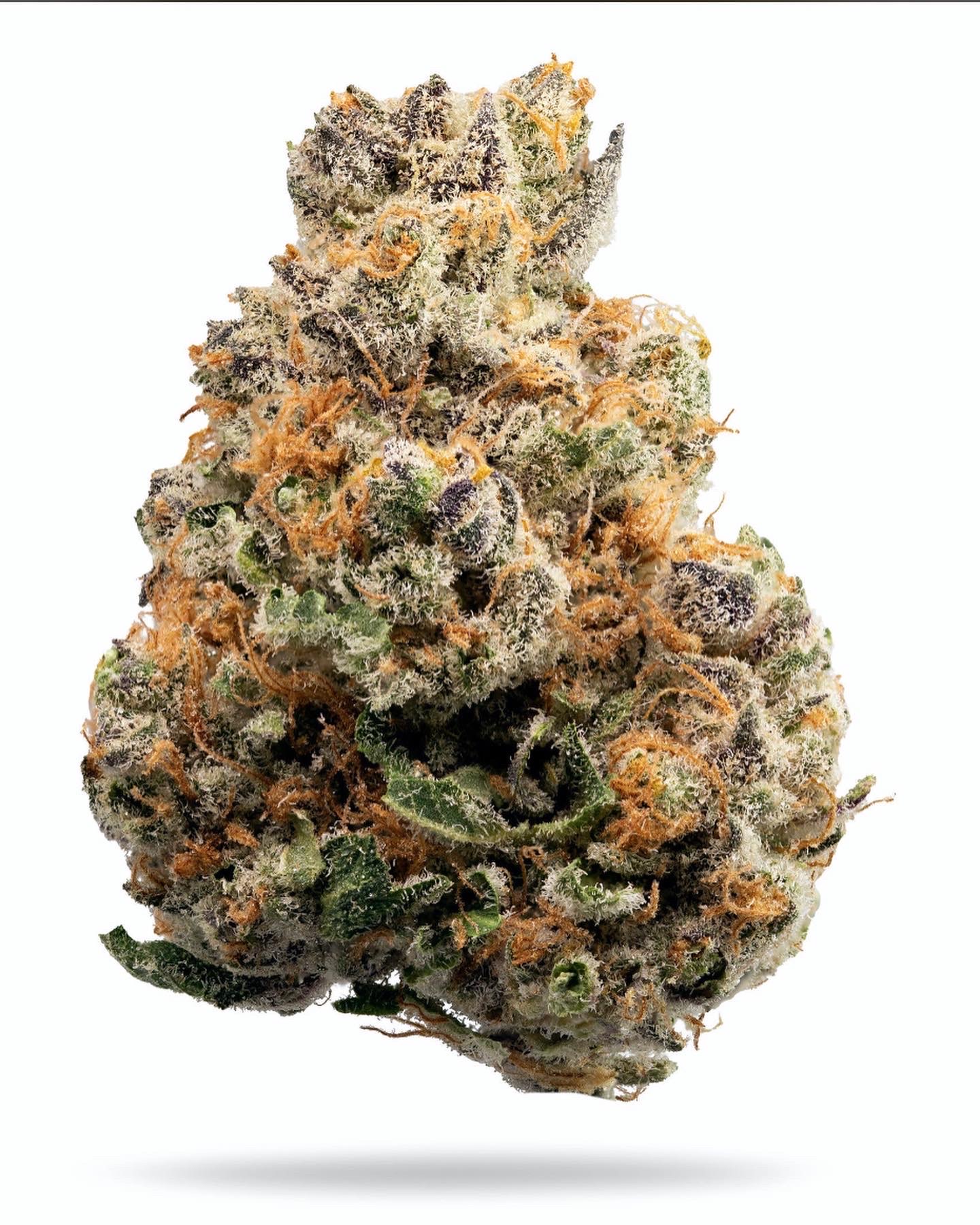 622046D8 9EE8 4936 A3D2 891C63E3F8AA