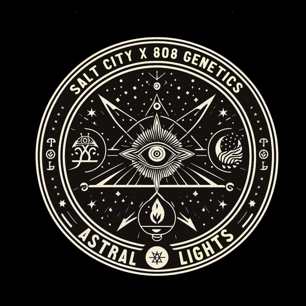 D7331f75 2e2a 424f 8990 3e2b37dce45d